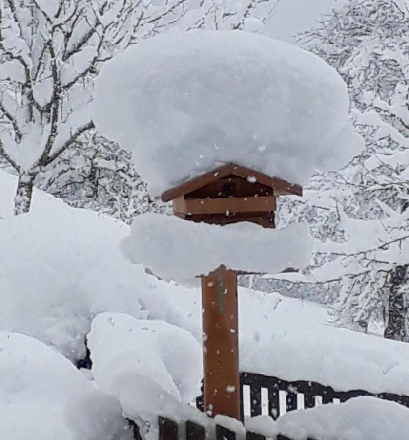 Villa Gruberhof Reith im Alpbachtal Esterno foto